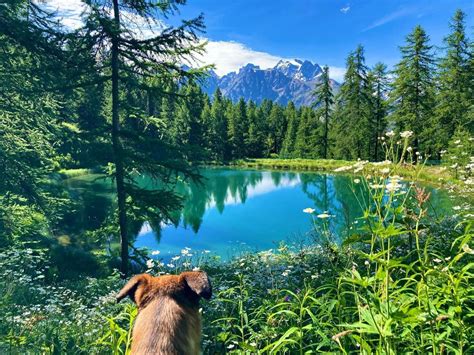 lac hermes|Route No. 8: Lac des Hermes loop .